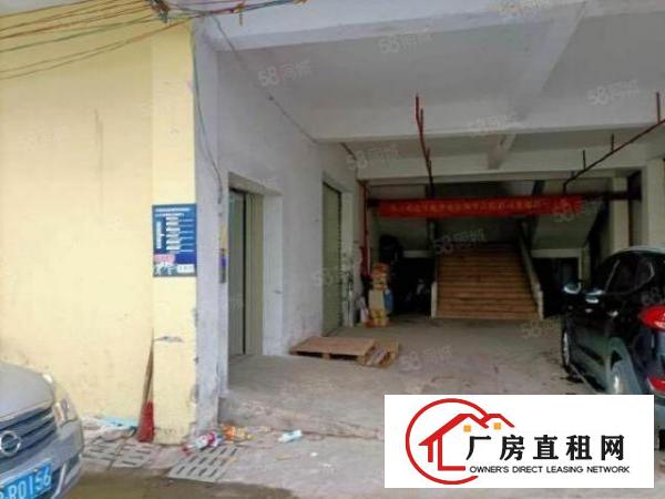  万江金曲路新出厂房二楼1000，价格实惠