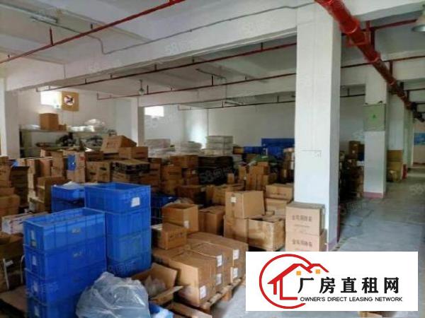  万江金曲路新出厂房二楼1000，价格实惠