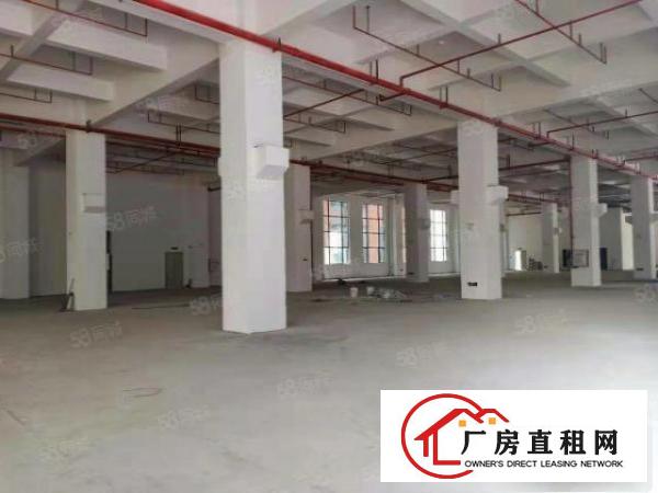  主干路边原房东独门独院标准三层厂房工业用地喷淋消防