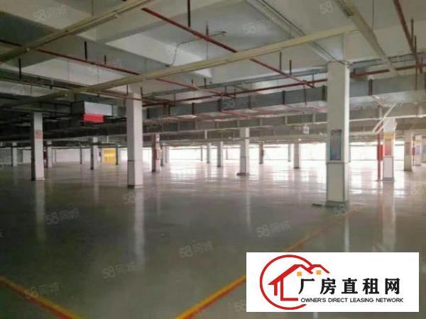  主干路边原房东独门独院标准三层厂房工业用地喷淋消防