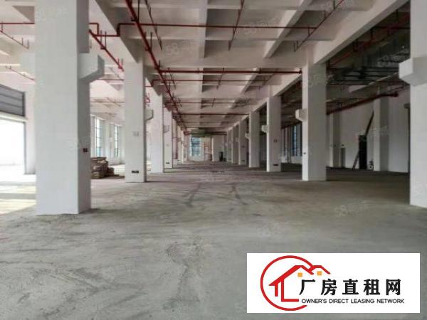  主干路边原房东独门独院标准三层厂房工业用地喷淋消防
