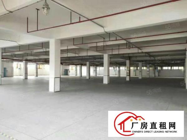  主干路边原房东独门独院标准三层厂房工业用地喷淋消防