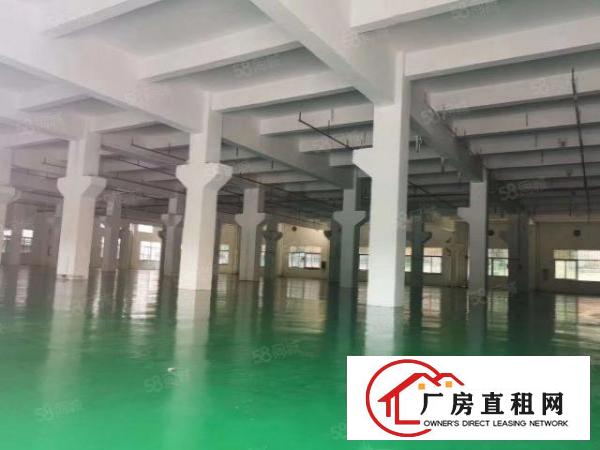  万江新出原房东独门独院楼房厂房出租
