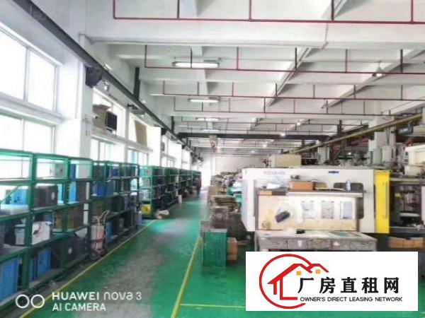  万江新出原房东独门独院楼房厂房出租