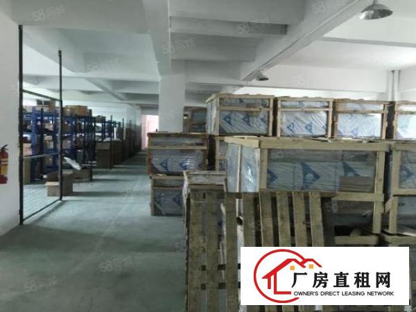  万江新出原房东独门独院楼房厂房出租