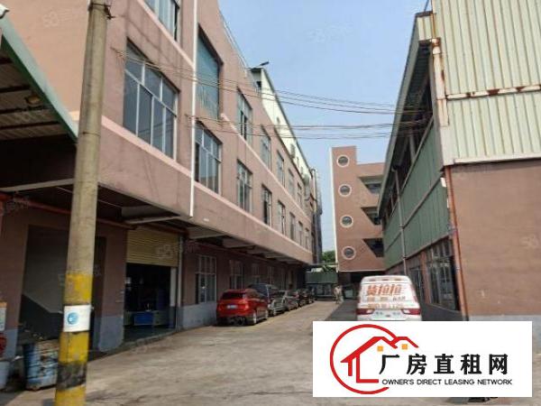  高埗新出独院厂房出租8500平交通方便无居民