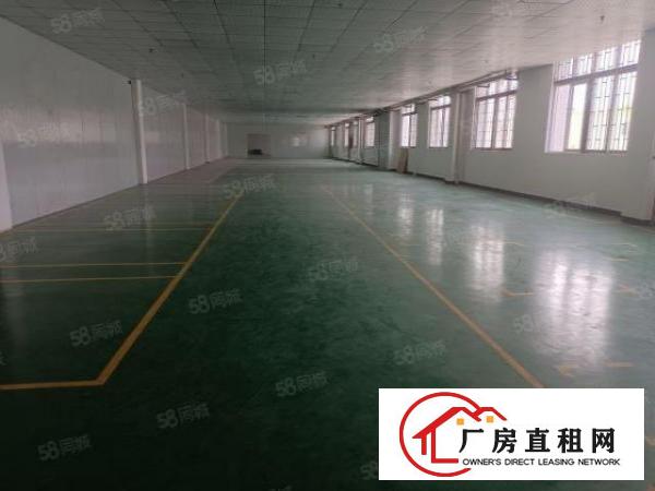  万江环城路外新出带现成环评1000平厂房（出租）