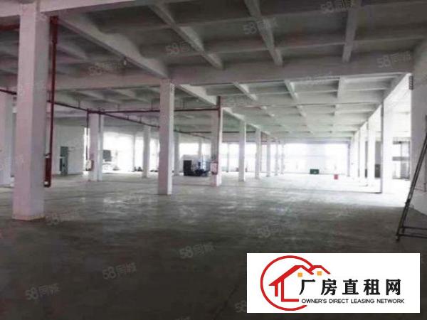  一楼2000平方！万江流涌尾新出一楼厂房水电及消防齐全
