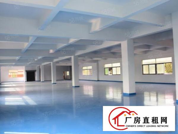 万江独门独院4000平招租！业主直招，水电齐全