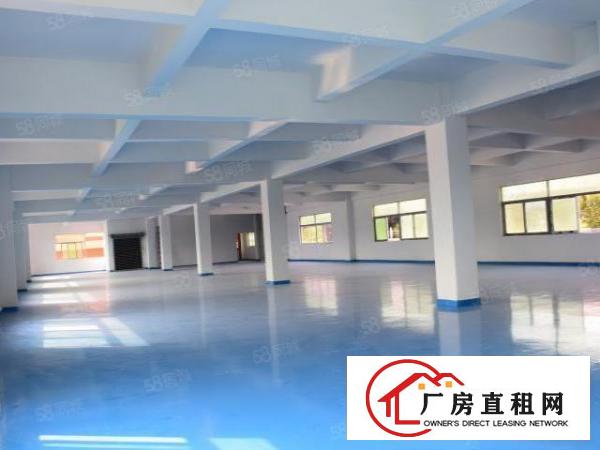  万江独门独院4000平招租！业主直招，水电齐全