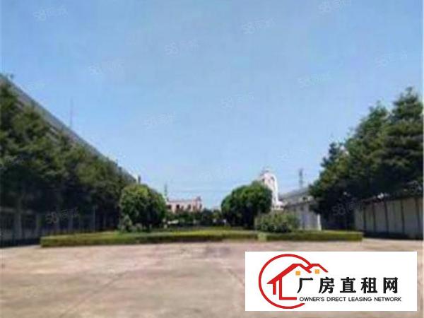  （急租）万江区大莲塘单一层1500平带有员工宿舍按需全新