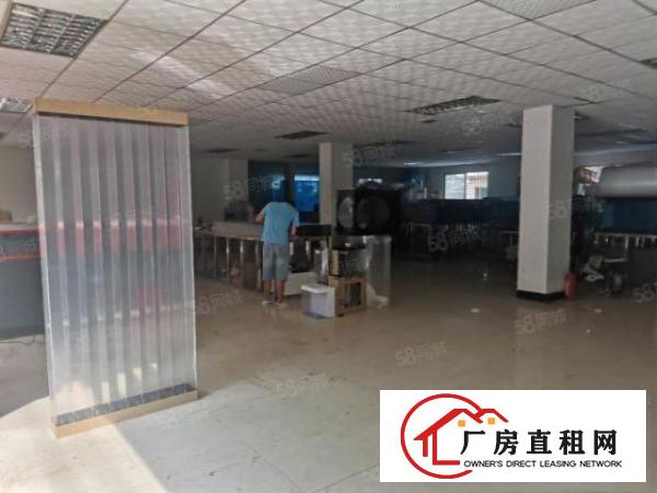  万江水蛇涌泰新路附近标准厂房分租1楼450平方