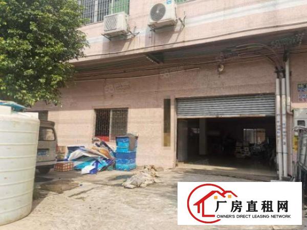  万江水蛇涌泰新路附近标准厂房分租1楼450平方
