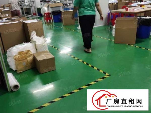  （速租）万江黄粘洲1700方水电全有精装办室交通方便