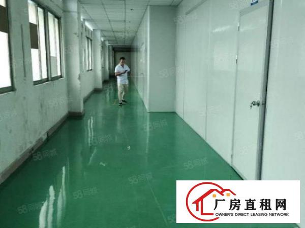  （速租）万江黄粘洲1700方水电全有精装办室交通方便