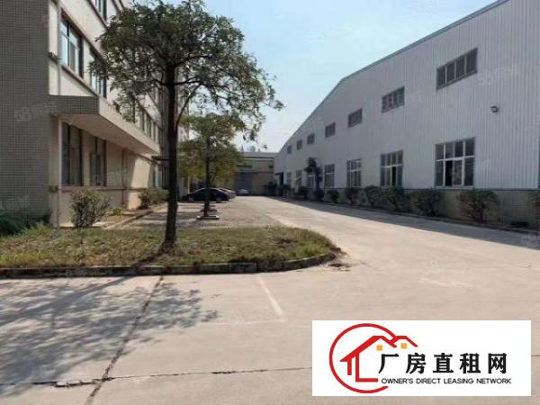  万江砖墙到顶单一层独院1000平方原房东出租