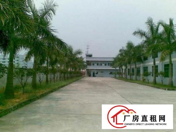  万江豪华工业园多栋厂房1000平方起租