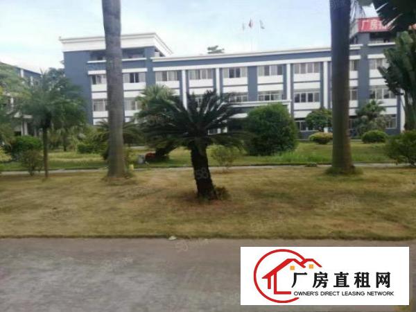  万江豪华工业园多栋厂房1000平方起租