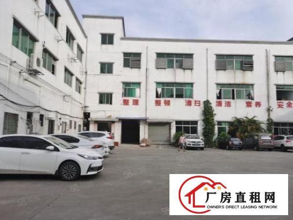  万江石美工业区新出标准厂房一楼600平方