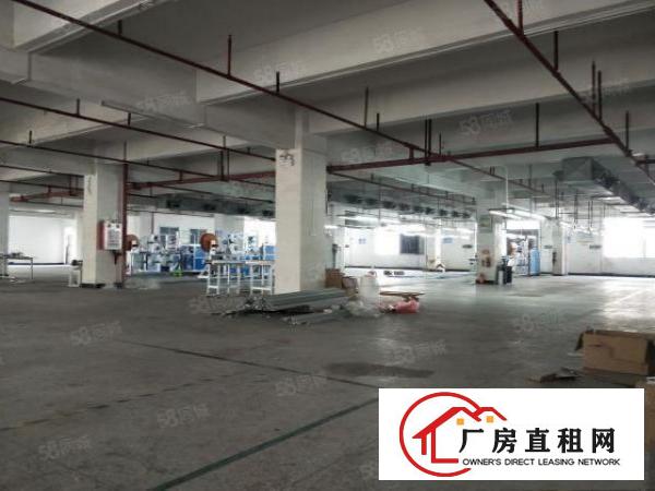  万江石美工业区新出标准厂房一楼600平方