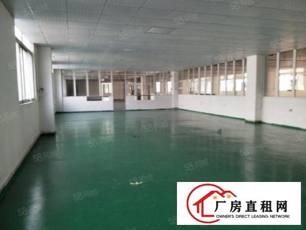  万江石美工业区新出标准厂房一楼600平方