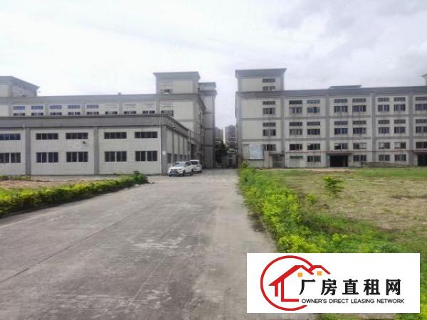  万江石美工业区新出标准厂房一楼600平方