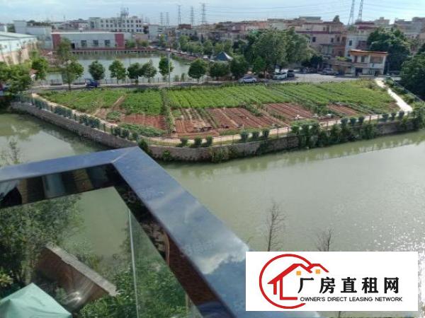  万江区，整栋办公私人会所，面积1380平方，出租30元，