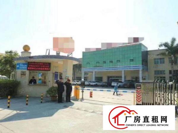  万江新出标准一楼1000平方带地坪漆，有办公室