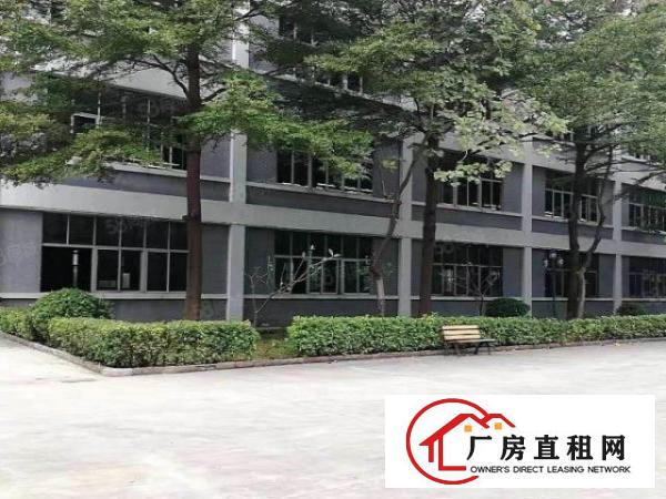  万江新出标准一楼1000平方带地坪漆，有办公室