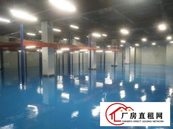  万江新出标准一楼1000平方带地坪漆，有办公室