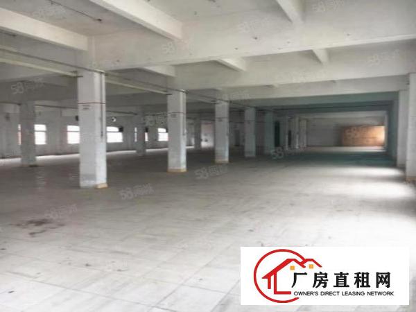  万江都会广场附近独院二三四楼厂房各1500平方可分租水电到位