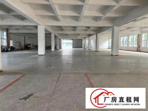  万江带装修标准一楼500平方，800平方，1200平方招租