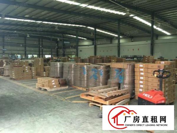  万江新出独门独院单一层10米高厂房招租