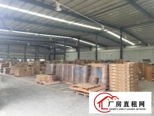  万江新出独门独院单一层10米高厂房招租