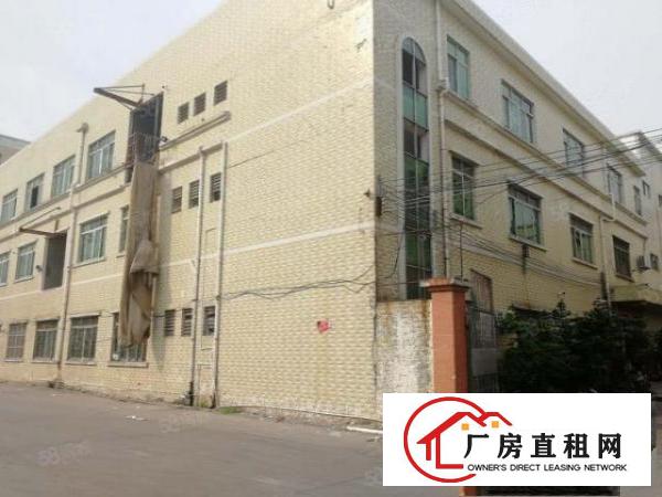  独门独院简沙洲5700平方出租
