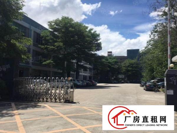  新出万江简沙洲正规园区标准一楼1200平方急租（可分租）