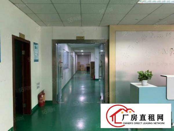  新出万江简沙洲正规园区标准一楼1200平方急租（可分租）