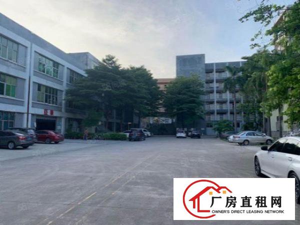  新出万江简沙洲正规园区标准一楼1200平方急租（可分租）