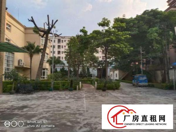  万江石美高度12米可做隔楼，带行车