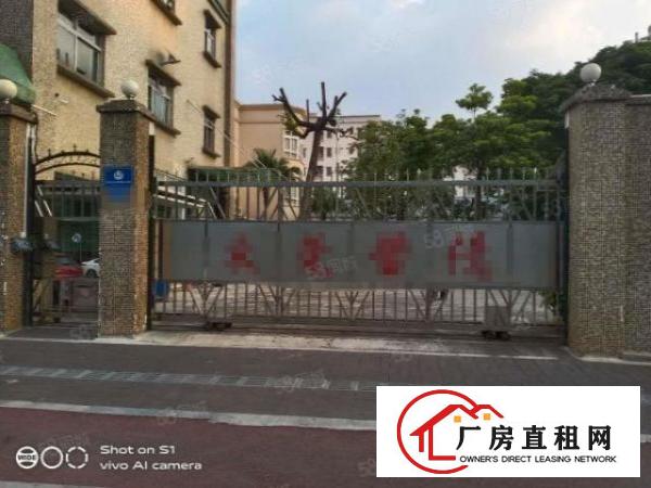 万江石美高度12米可做隔楼，带行车