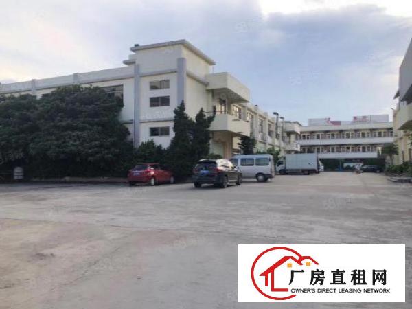  万江上甲工业园一楼1000平米带装修