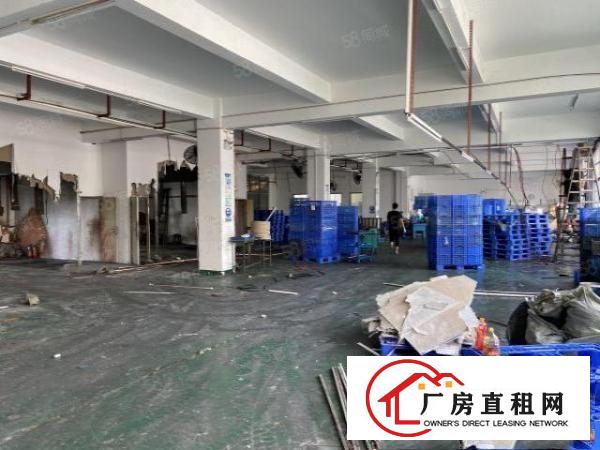  万江上甲工业园一楼1000平米带装修