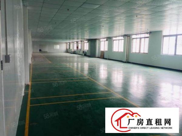  万江工业园二楼2000平米招租