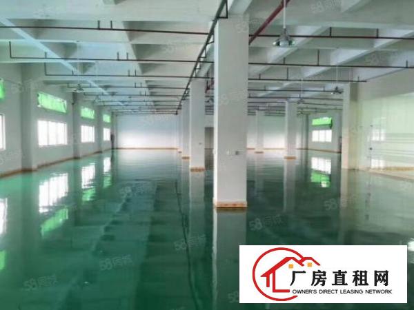  万江原房东10000平米大空地独院