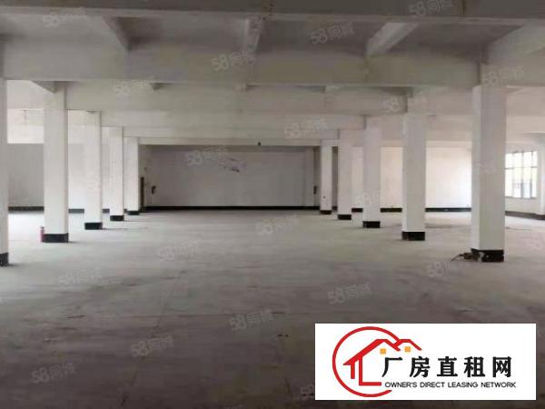  万江智能产业园|778平标准厂房|生活配套齐全|周边环境好