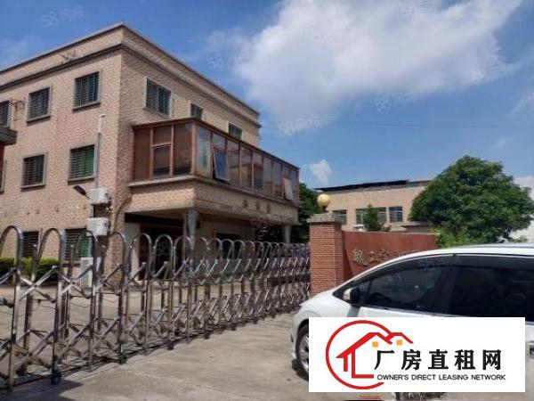  万江区新出独门独院厂房4500平超大空地形象好