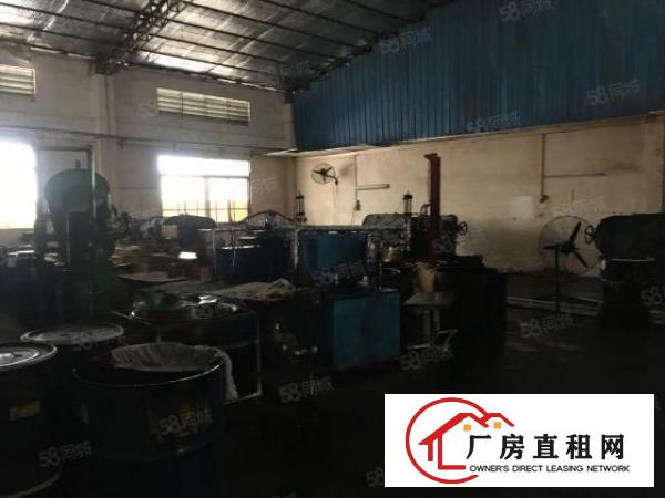  万江新出原房东独门独院单一层招租