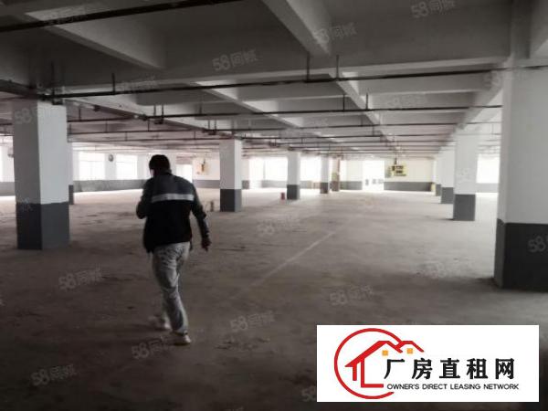  华南摩尔附近工业厂房一楼520平方，租金7500元，