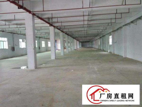  万江新出现成装修一楼厂房900平方招租，工业用地