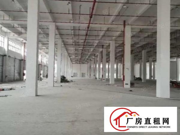  万江新出标准厂房一楼厂房出租